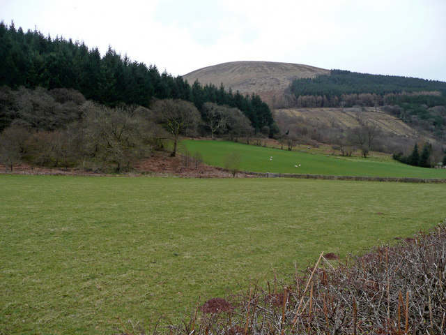 Allt Lwyd: North side of Glyn Collwn - geograph.org.uk - 724462