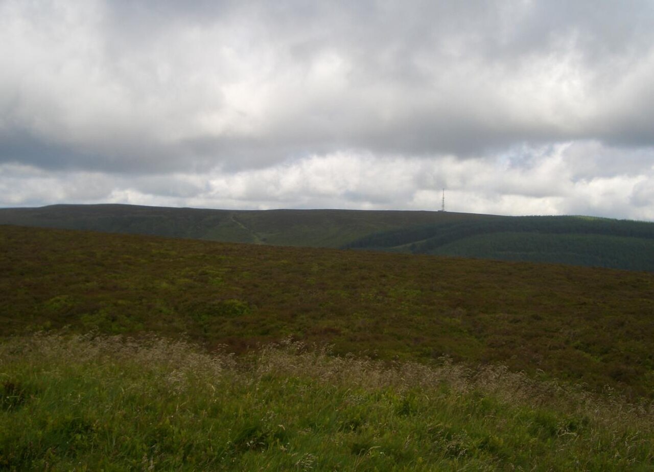 Bache Hill: Bache Hill