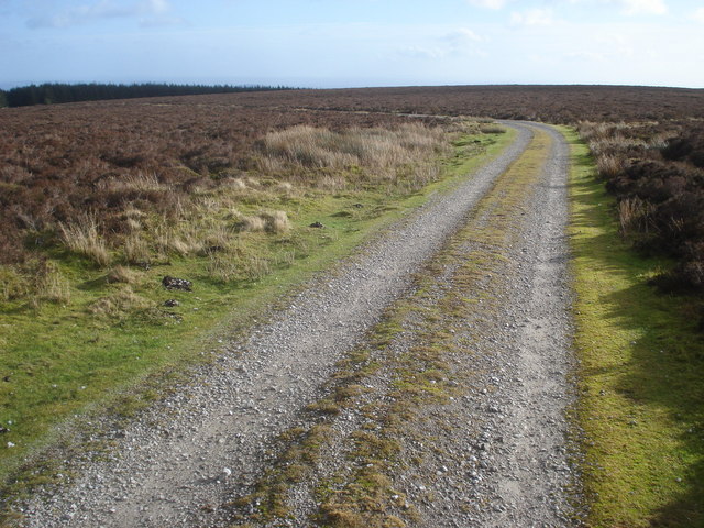 Black Mixen: Track on Black Mixen - geograph.org.uk - 682562