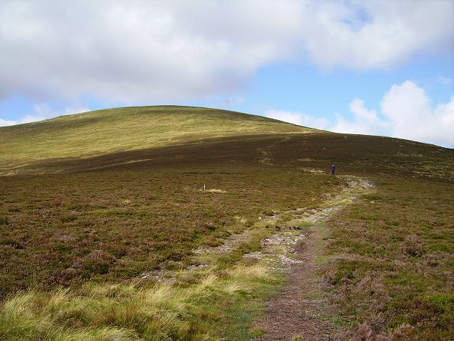 Driesh: Shank of Driesh - geograph.org.uk - 229364