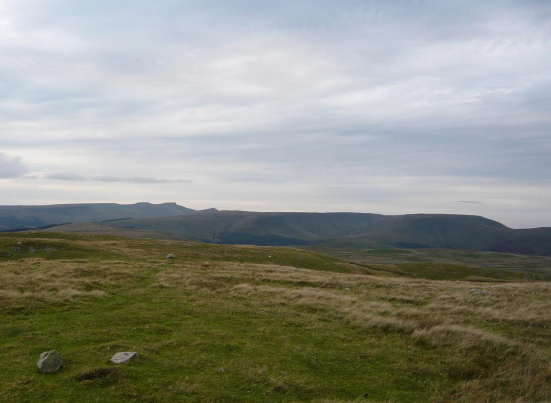 Waun Rydd: Waunrydd