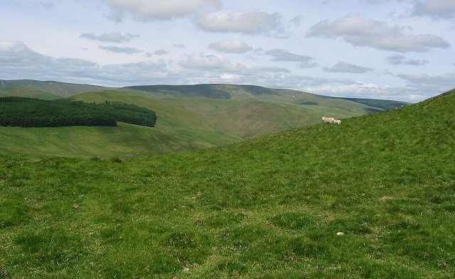Windy Gyle: Cheviots - geograph.org.uk - 16011